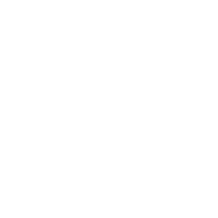 nanoki